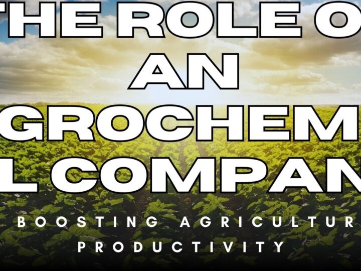 The Role of an Agrochemical Company in Boosting Agricultural Productivity