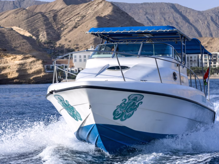 How Can I Find Reputable Boat Rental Services Near Me?