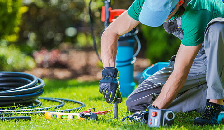 Which Landscaping Services Are Best for Your Home or Business?