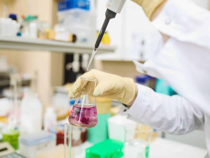 Setting up a Sulfuric Acid Manufacturing Plant Report 2025: Business Plan, Cost and Raw Material Requirements