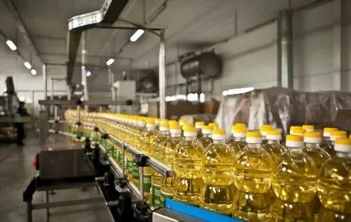 Vegetable Oil Processing Plant Project Report 2025: Infrastructure Needs and Cost Analysis