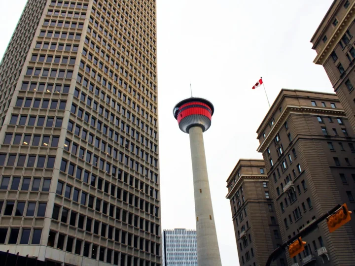 Best Real Estate Agents in Calgary – Your Ultimate Guide