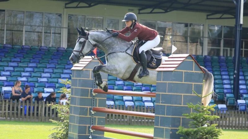 Top Quality Sport Horses: The Key to Equestrian Excellence
