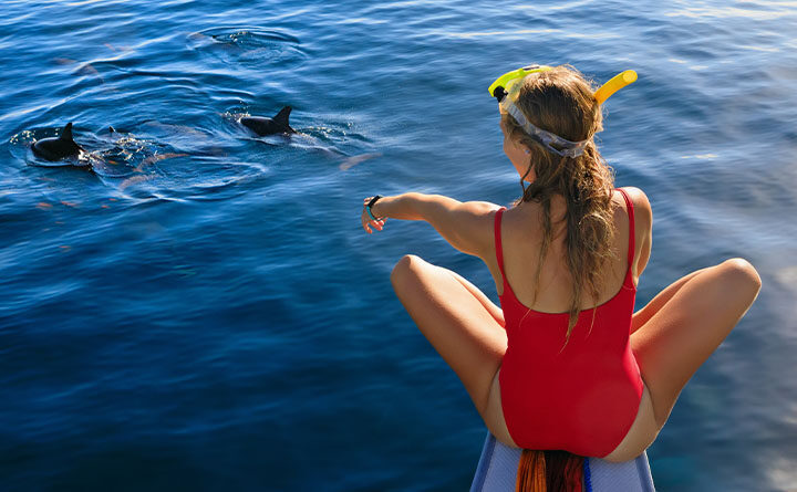 Mind-Blowing Dolphin Facts You’ll Learn on Port Stephens Cruise!