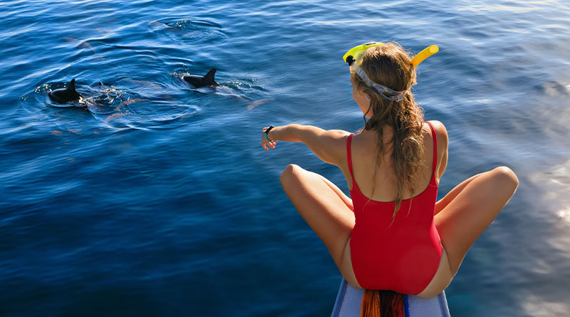 Mind-Blowing Dolphin Facts You’ll Learn on Port Stephens Cruise!