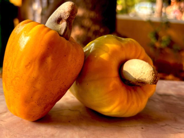 How Are Cashew Nuts Priced in Bulk at Wholesale Rates?