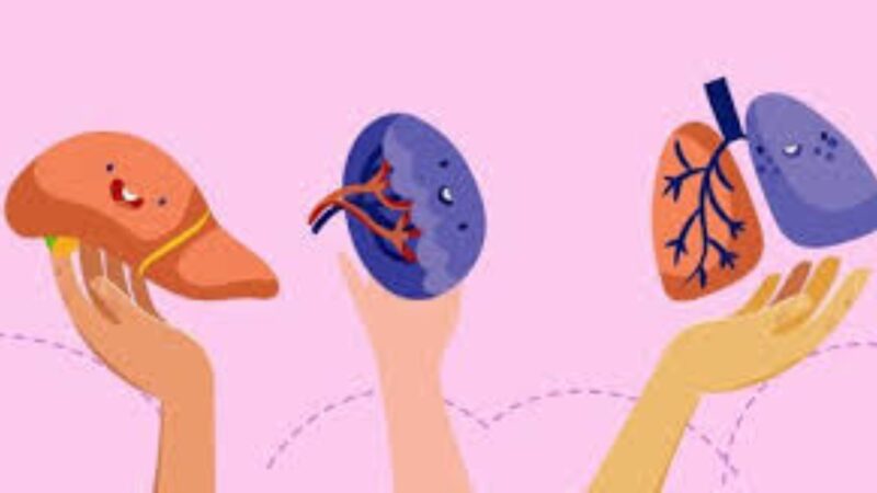 How Much Does an Intestinal Transplant Cost?