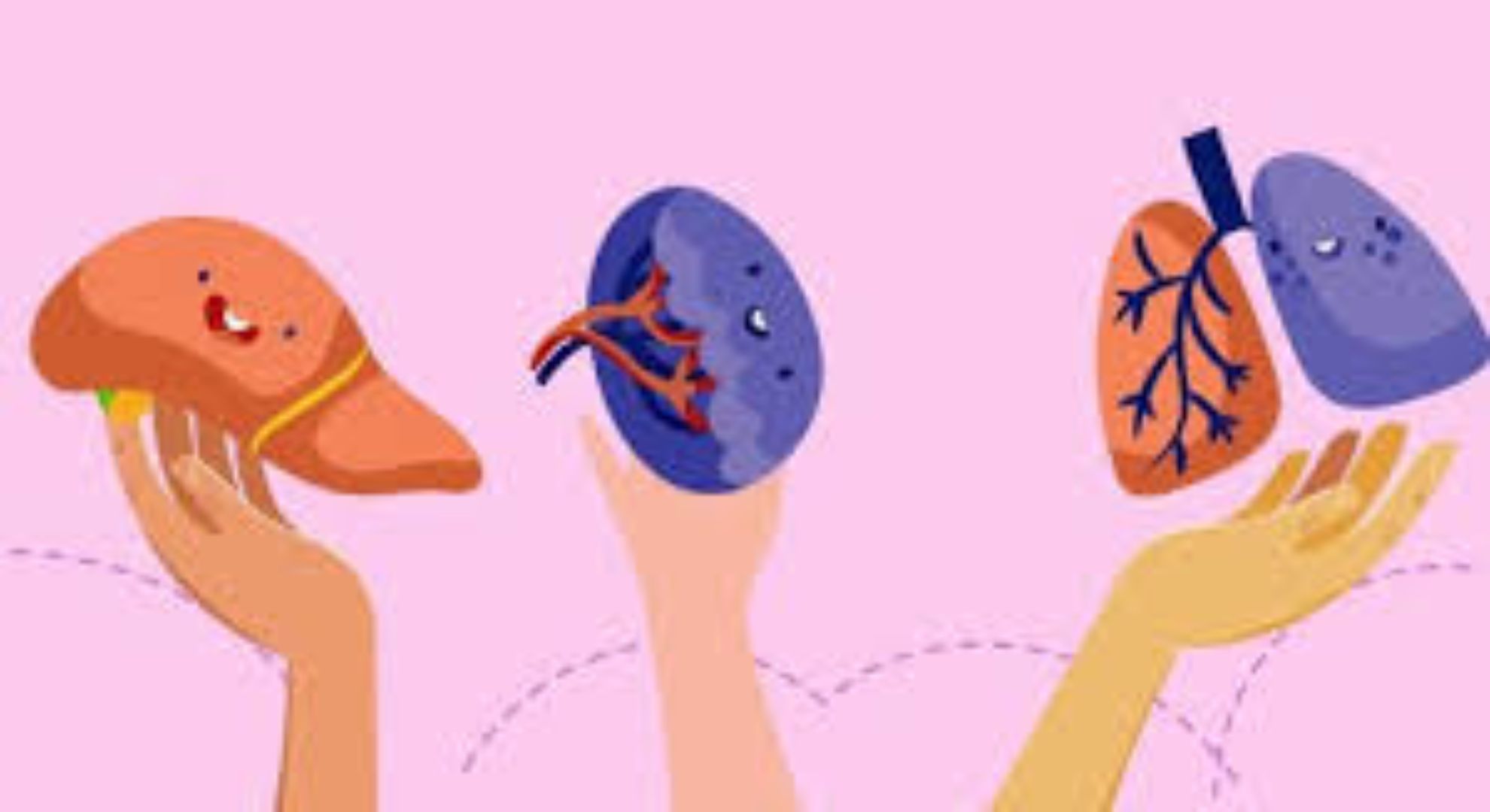 How Much Does an Intestinal Transplant Cost? 1 How Much Does an Intestinal Transplant Cost?