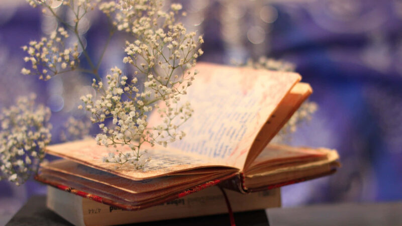 Life Journey Books: Transformative Stories to Guide, Inspire, and Awaken Your Soul