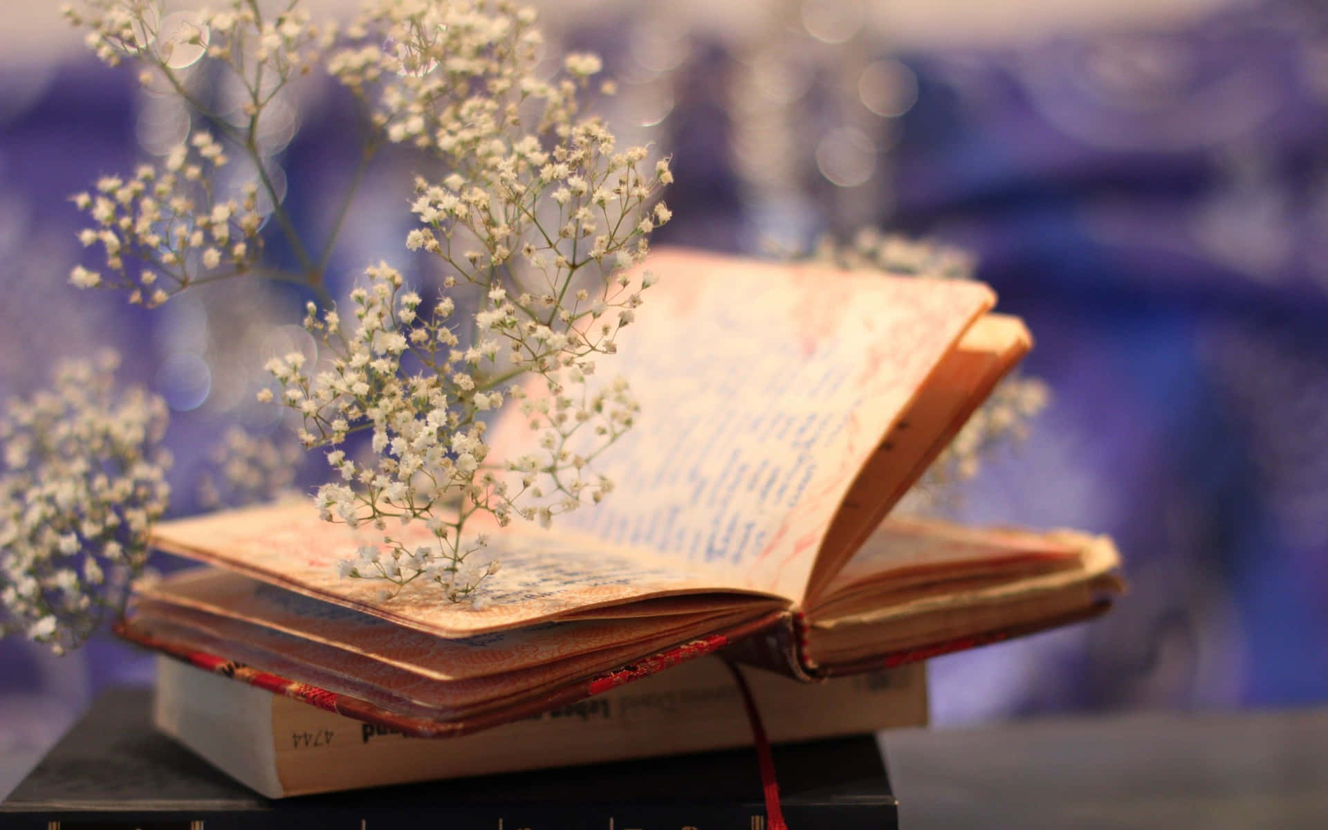 Life Journey Books: Transformative Stories to Guide, Inspire, and Awaken Your Soul