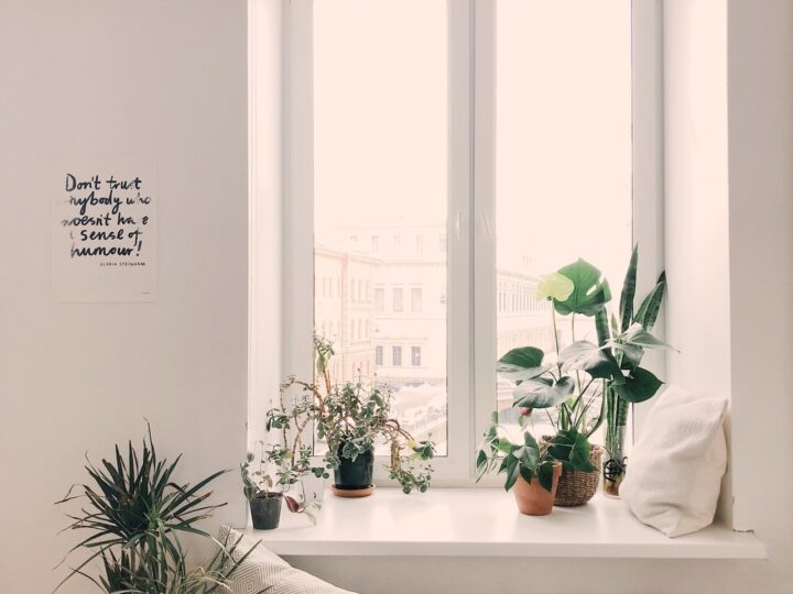 Outline: Interior Design Trends 2025 | Belle Vie Designs