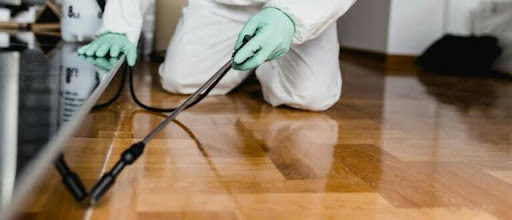 How to Locate Trustworthy Pest Control in Dubai