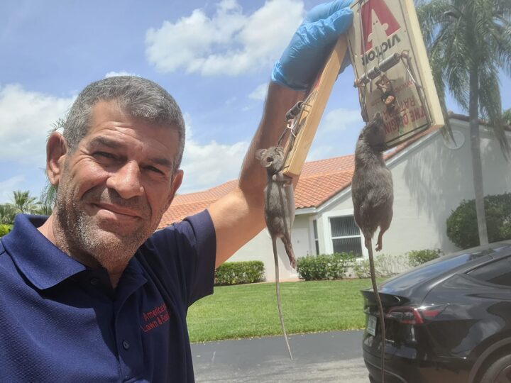 Absolute Finest Pest Control – Premier Pest Control Services in Boca Raton, FL