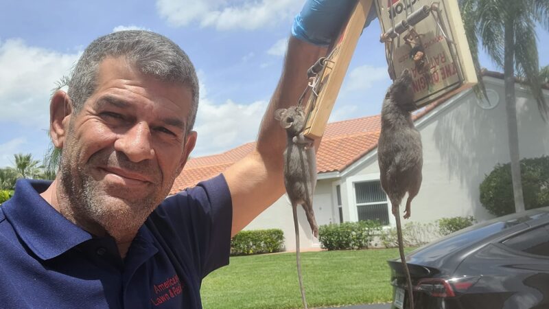 Absolute Finest Pest Control – Premier Pest Control Services in Boca Raton, FL