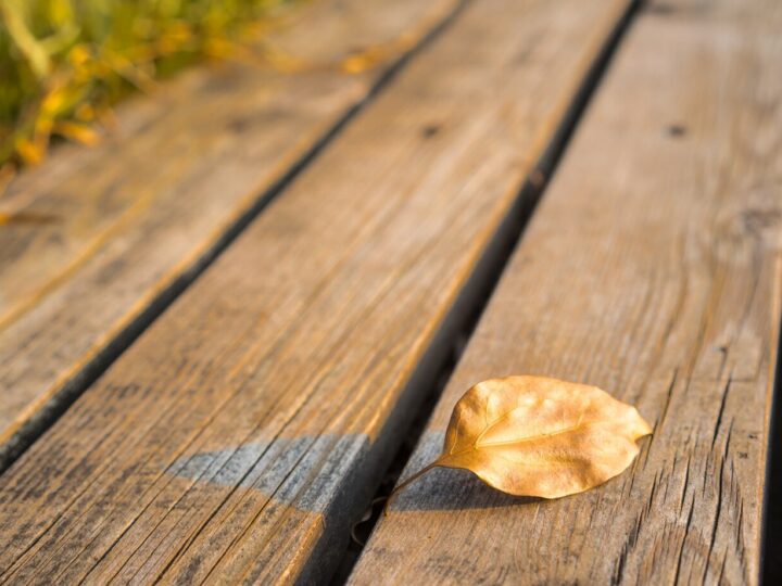 Why Are Aspen Deck Boards a Top Choice for Outdoor Living?