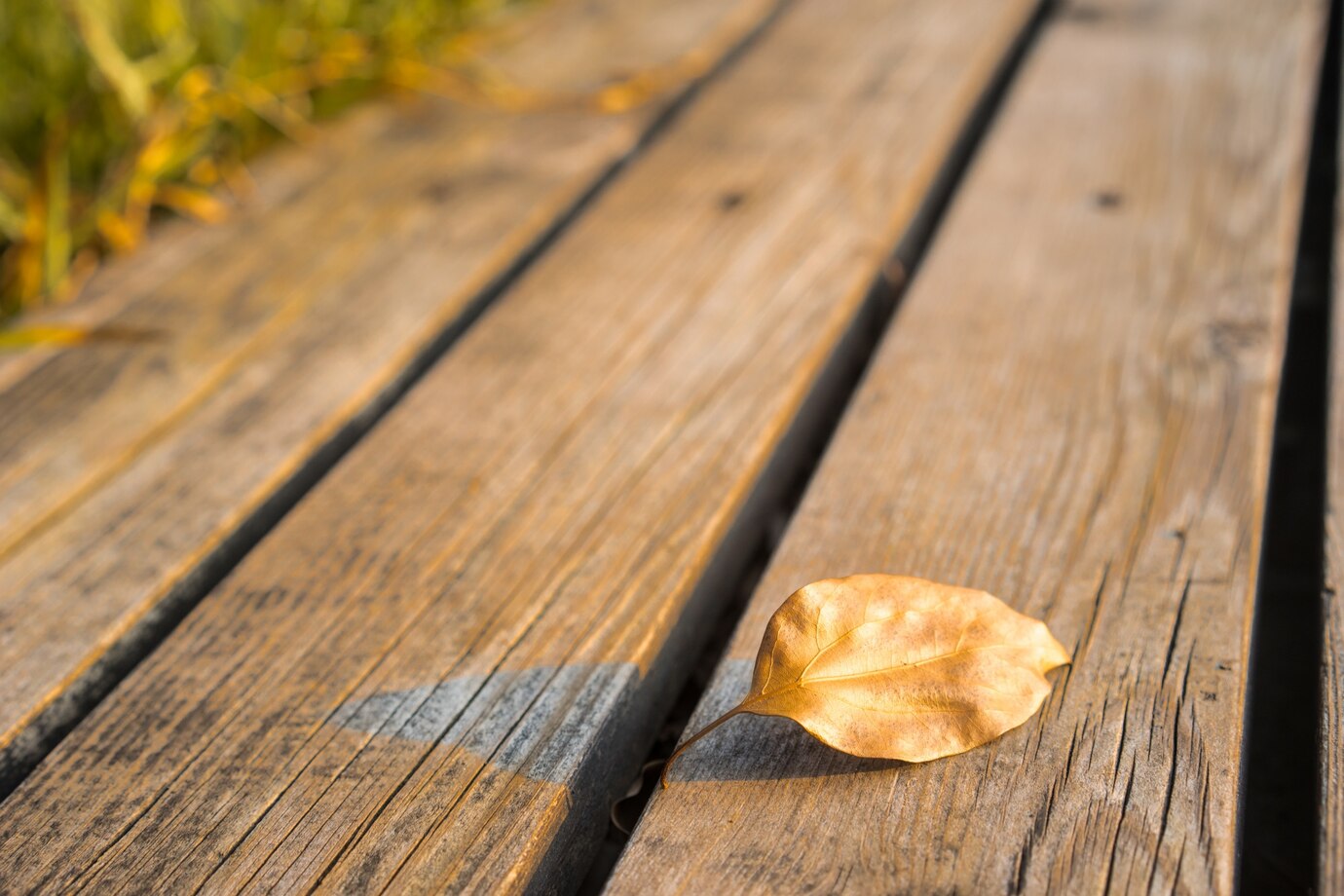 Why Are Aspen Deck Boards a Top Choice for Outdoor Living? 1 Why Are Aspen Deck Boards a Top Choice for Outdoor Living?