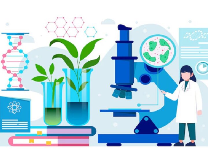 Biopharmaceuticals Market Share 2025: Risks, Returns, and Emerging Sectors to 2032