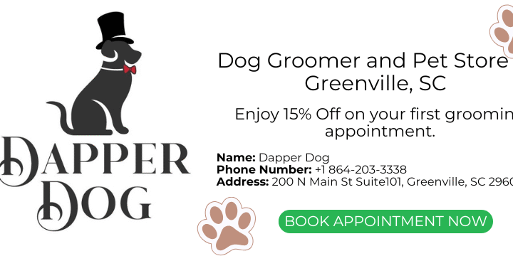 Dapper Dog