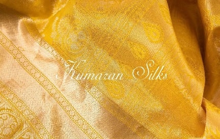 Graceful Drapes: Unveiling the Best Soft Silk Saree Styles