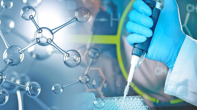 Molecular Diagnostics Market: Driving Precision Medicine and Rapid Disease Detection