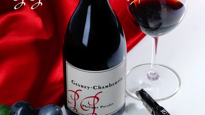 🌍 Discover the World Through a Glass: A Journey with RNG WINE
