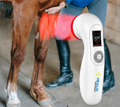 Laser Light Therapy for Horses with Healix Lasers