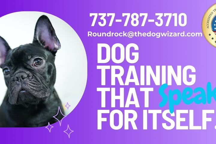 The Dog Wizard Round Rock – Professional Dog Trainer in Round Rock, TX