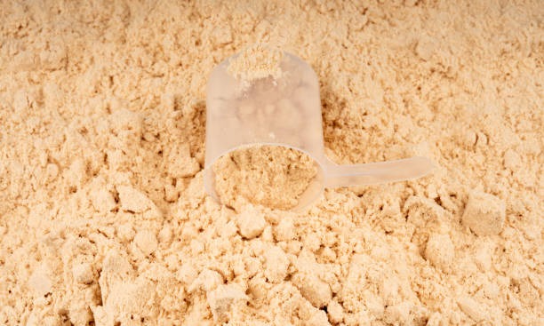 Report on Whole Egg Powder Manufacturing Plant 2025: Comprehensive Business Plan and Machinery Requirements