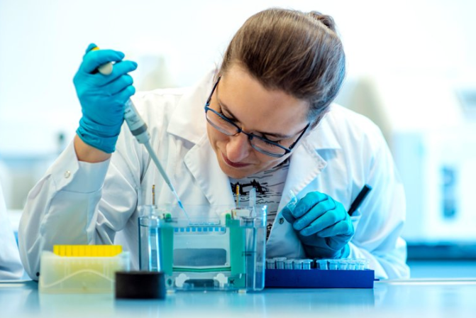 Professional Protein Expression Assistance: Accelerate Your Research with Expert Support