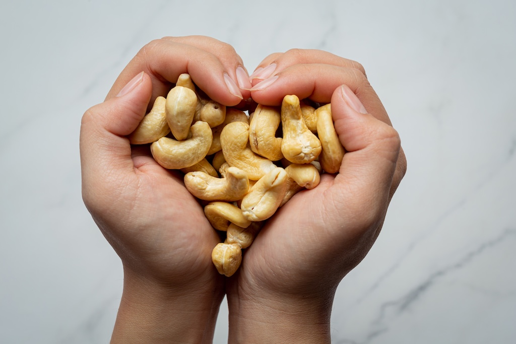 Who Are The Top Cashew Nut Suppliers In Goa? 1 Who Are The Top Cashew Nut Suppliers In Goa?