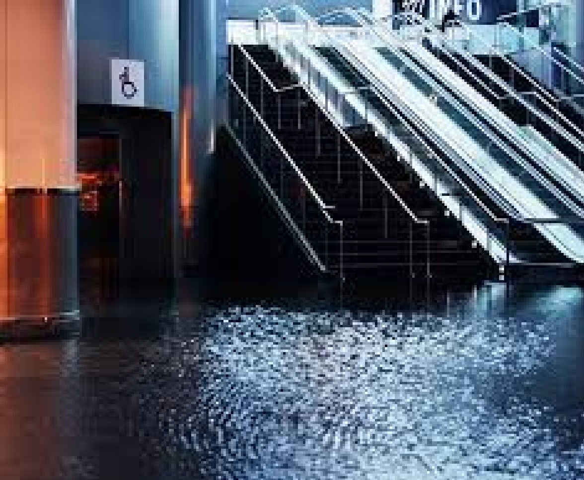 What Services Are Included in Professional Flood Damage Restoration? 1 What Services Are Included in Professional Flood Damage Restoration?