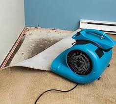 What Emergency Supplies Do You Need for a Flood?