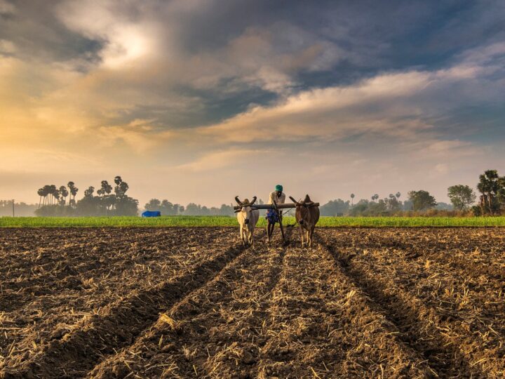 जमाबंदी हरियाणा: भूलेख हरियाणा/जमाबंदी नकल हरियाणा ऑनलाइन देखें