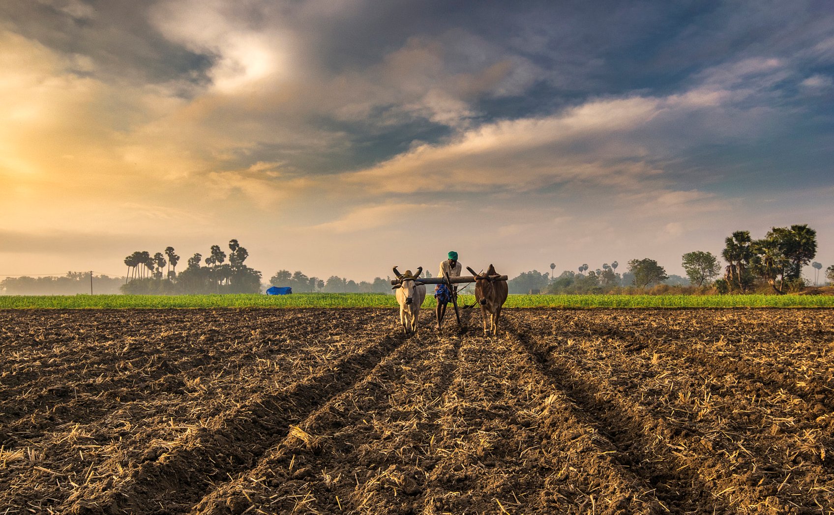 जमाबंदी हरियाणा: भूलेख हरियाणा/जमाबंदी नकल हरियाणा ऑनलाइन देखें 1 जमाबंदी हरियाणा: भूलेख हरियाणा/जमाबंदी नकल हरियाणा ऑनलाइन देखें