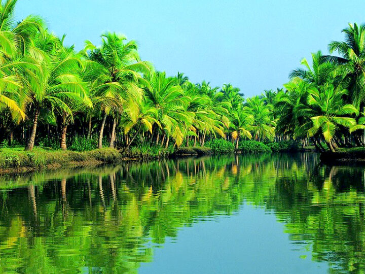 Thiruvallam: Explore the Spiritual and Scenic Beauty