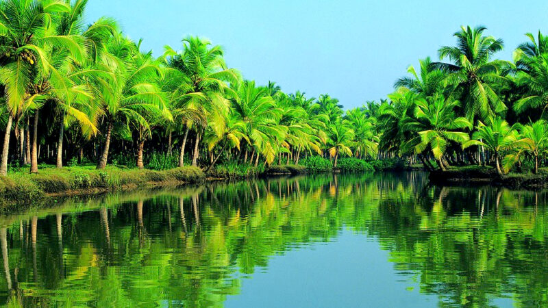 Thiruvallam: Explore the Spiritual and Scenic Beauty