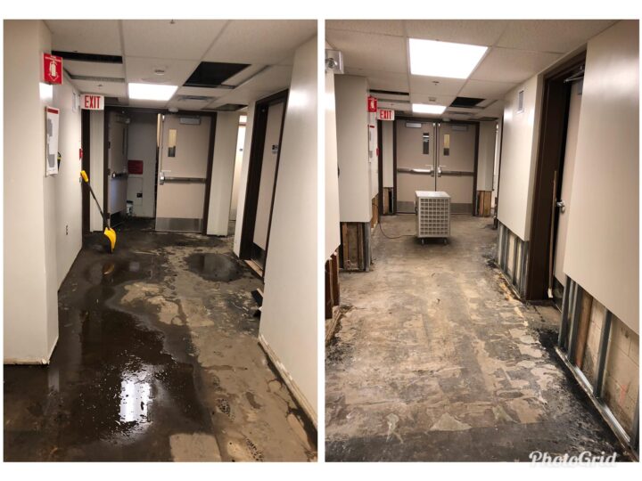 Can Water Damage Lead to Mold Growth?