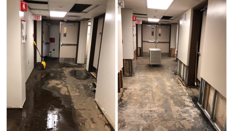 Can Water Damage Lead to Mold Growth?