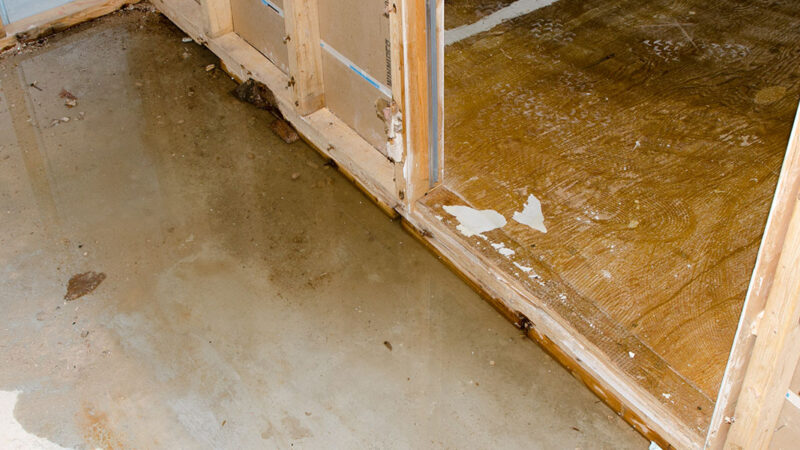 What Is Water Damage and How Does It Affect Your Property?