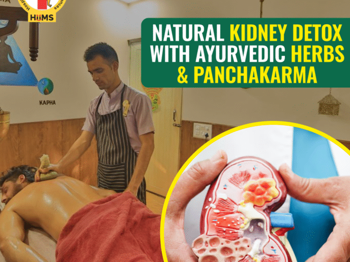 Ayurvedic Kidney Detox in Bengaluru: A Natural Path to Kidney Health and Wellness