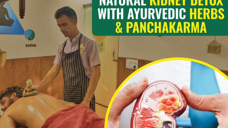 Ayurvedic Kidney Detox in Bengaluru: A Natural Path to Kidney Health and Wellness