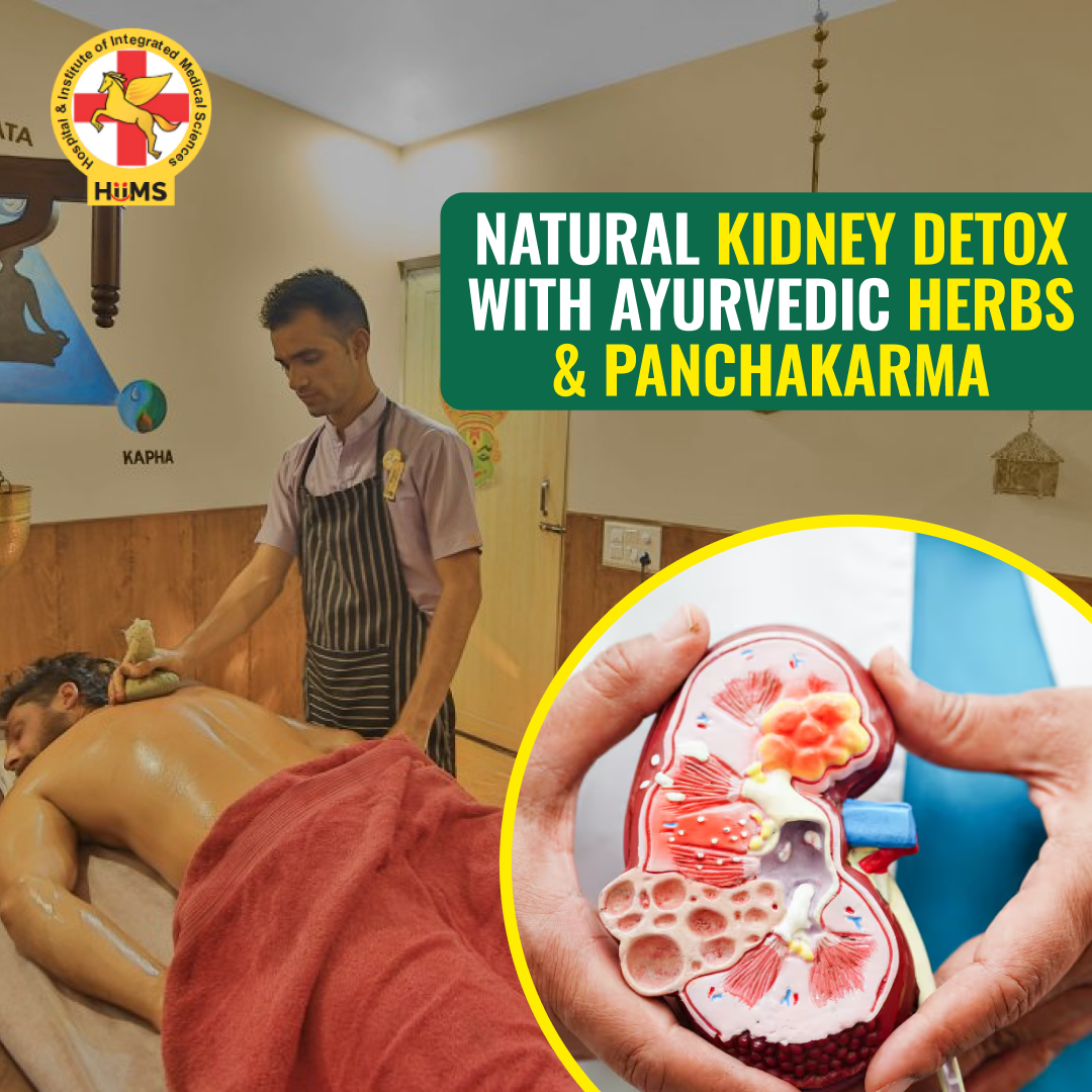 Ayurvedic Kidney Detox in Bengaluru: A Natural Path to Kidney Health and Wellness 1 Ayurvedic Kidney Detox in Bengaluru: A Natural Path to Kidney Health and Wellness