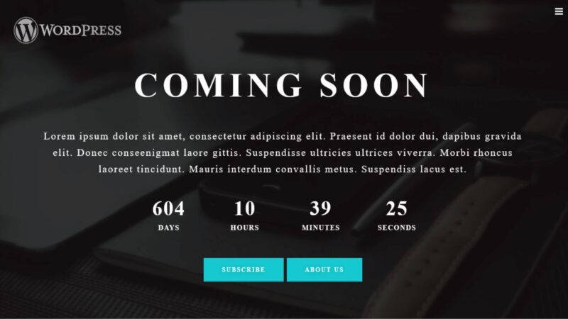 Is a Coming Soon WordPress Theme Worth Using?