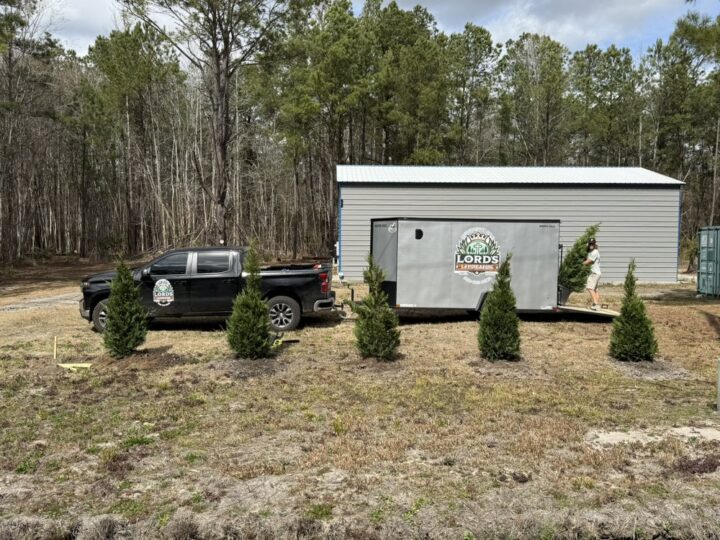 Transform Your Outdoor Spaces with Lords Landscaping