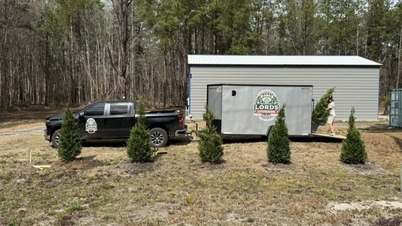 Transform Your Outdoor Spaces with Lords Landscaping