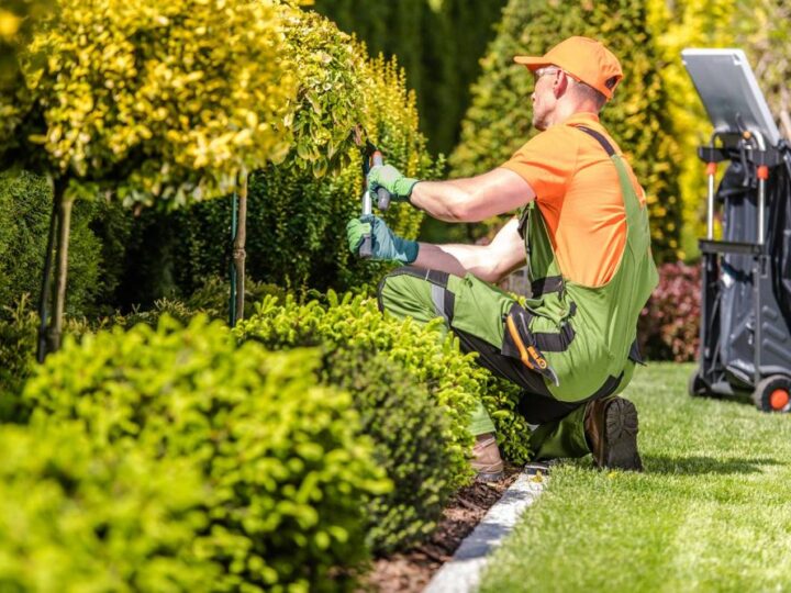 Transform Your Outdoor Space with Expert Landscaping in Wilmington, NC