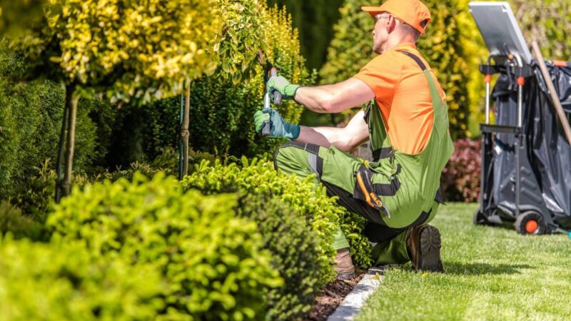 Transform Your Outdoor Space with Expert Landscaping in Wilmington, NC