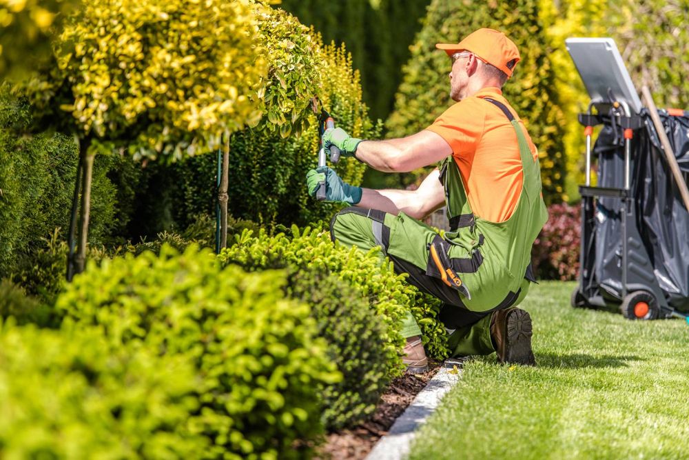 Transform Your Outdoor Space with Expert Landscaping in Wilmington, NC 1 Transform Your Outdoor Space with Expert Landscaping in Wilmington, NC