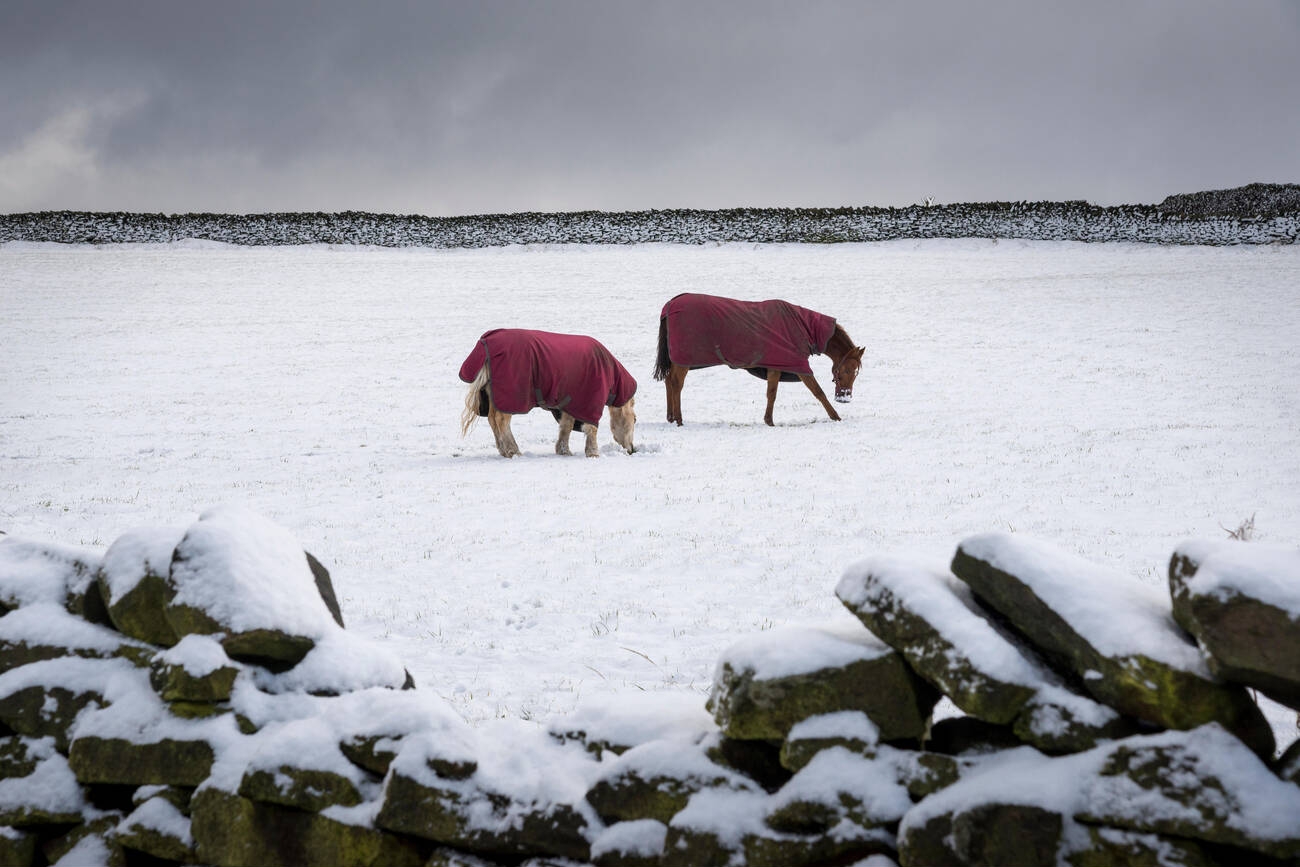 winter horse rugs australia