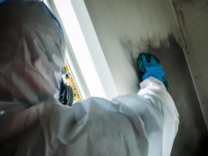 How Can You Prepare for an Emergency Flood Before It Strikes?